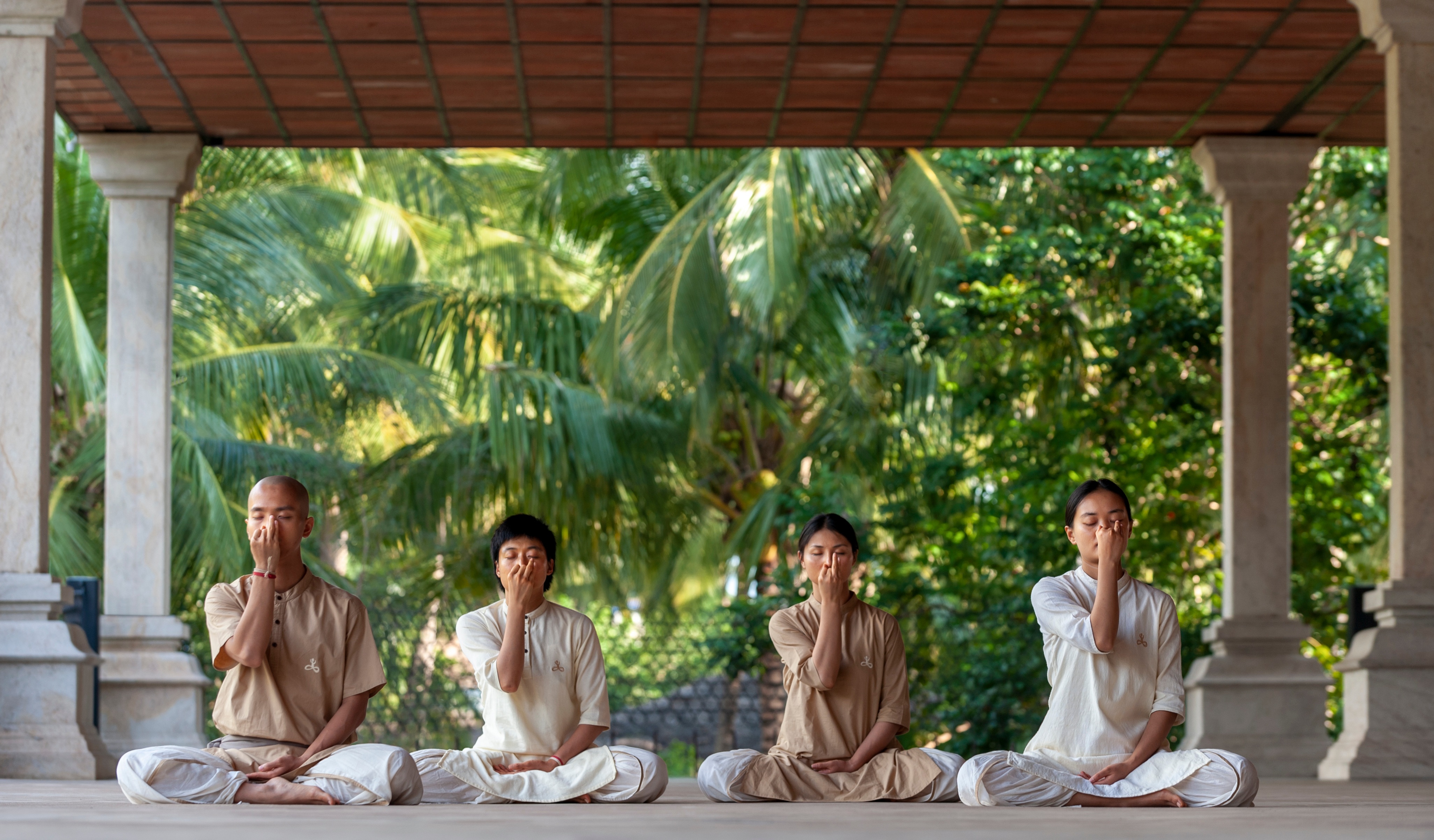 Nadi Shuddhi - Image 2